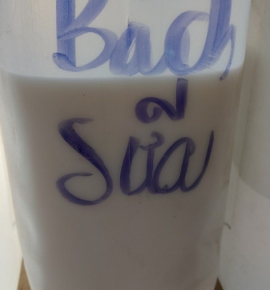 BÁCH SỮA