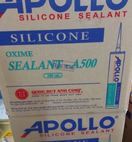 SILICON APOLO