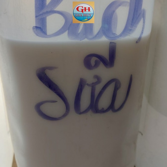 BÁCH SỮA