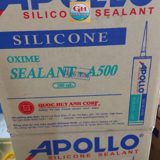 SILICON APOLO